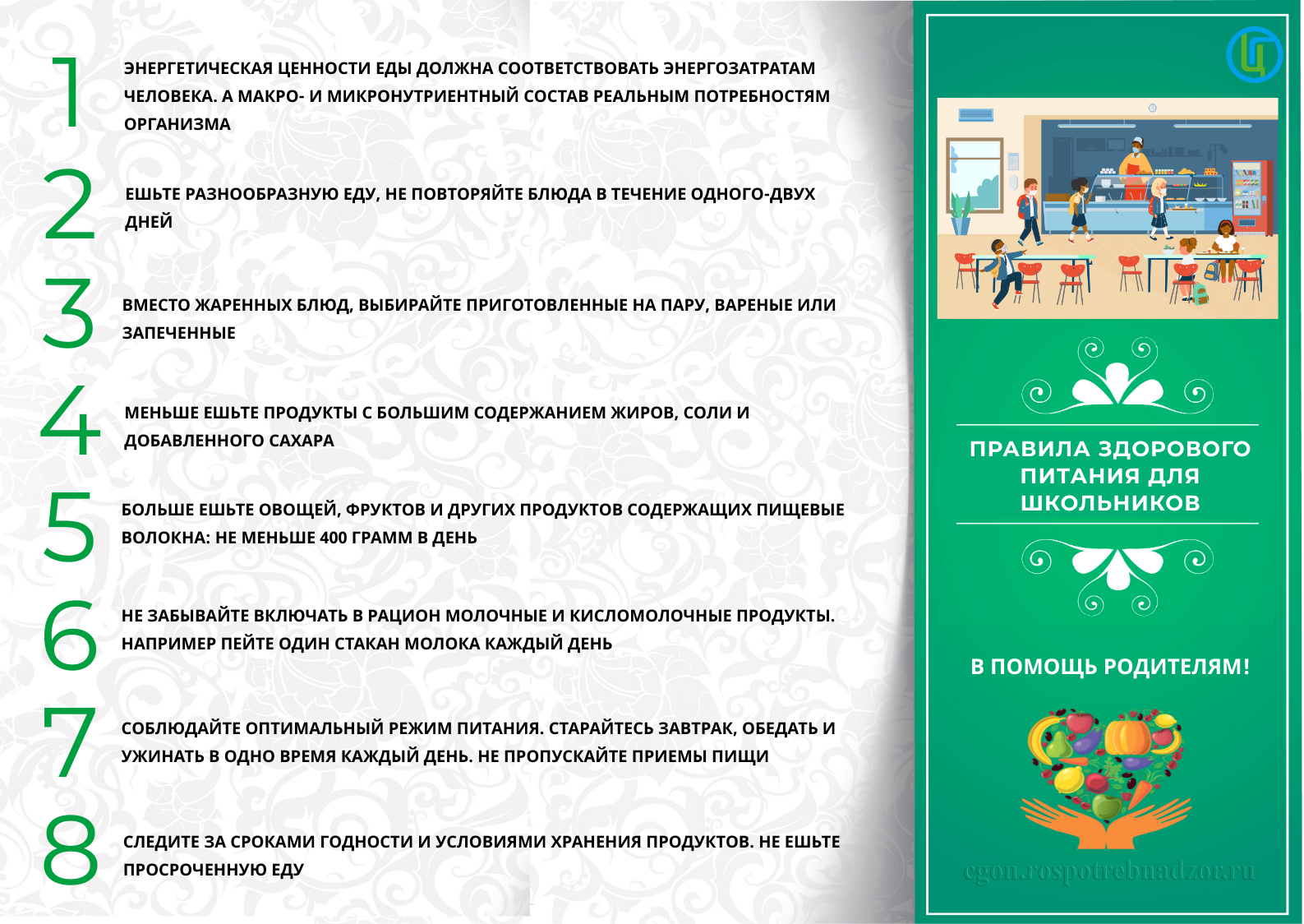 Правила здорового питания школьника Правила здорового питания школьника
